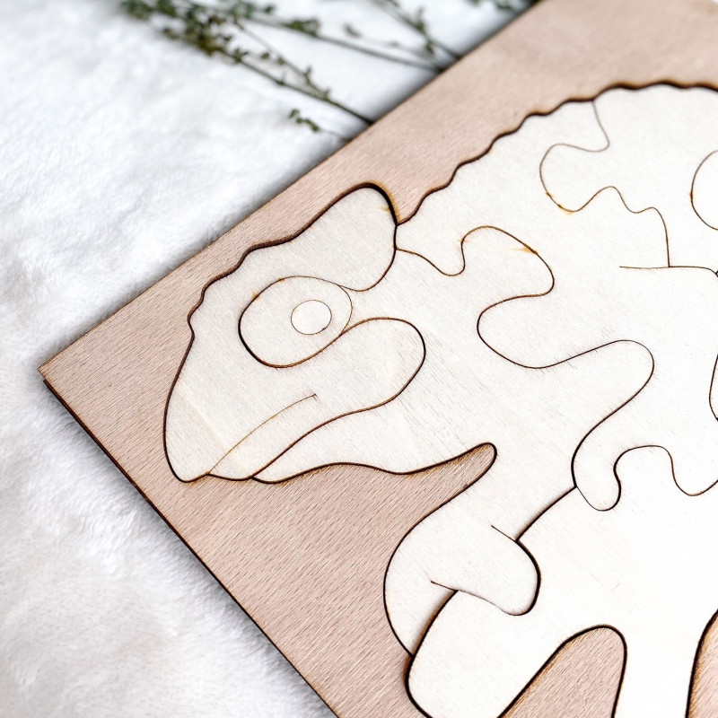 Bicolor wooden montessori insert for children -...
