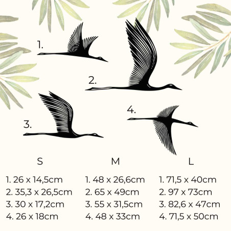 Dimensions of the entire product