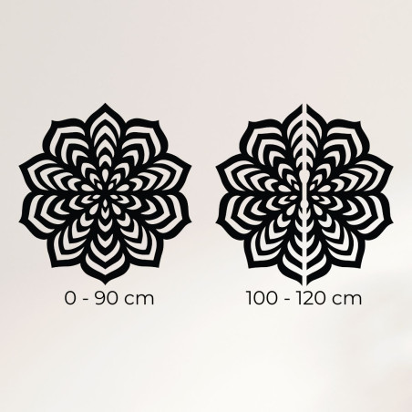 A preview used to provide information about the size and visual characteristics of the product.