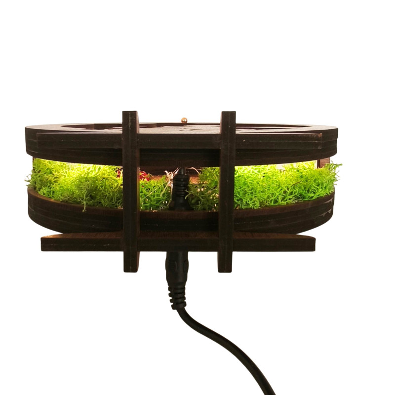 LED decoration Little Prince with airplane |...