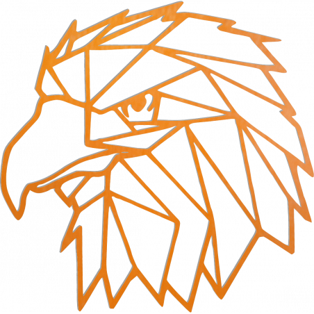 STYLESA Carved wall painting geometric shapes eagle PR0234 black