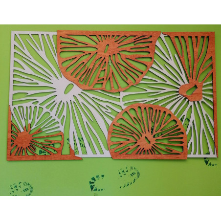 Carved image on the wall of wooden plywood orange 3D effect KODJAK